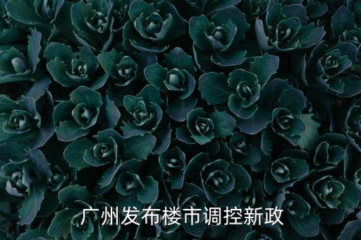  廣州發(fā)布樓市調控新政