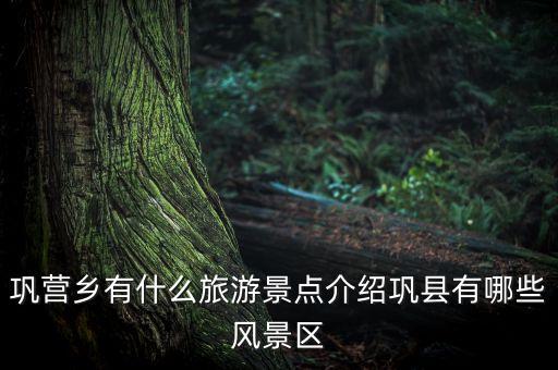 鞏營鄉(xiāng)有什么旅游景點介紹鞏縣有哪些風景區(qū)