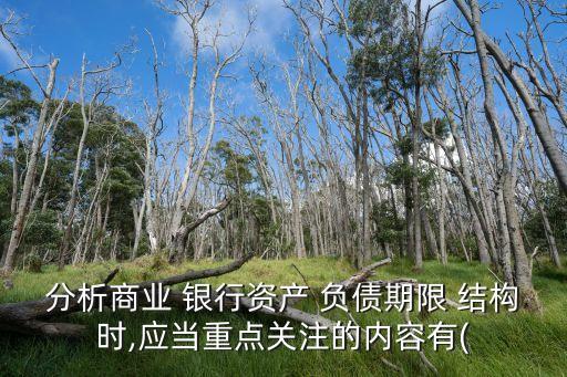 分析商業(yè) 銀行資產(chǎn) 負債期限 結(jié)構(gòu)時,應(yīng)當(dāng)重點關(guān)注的內(nèi)容有(