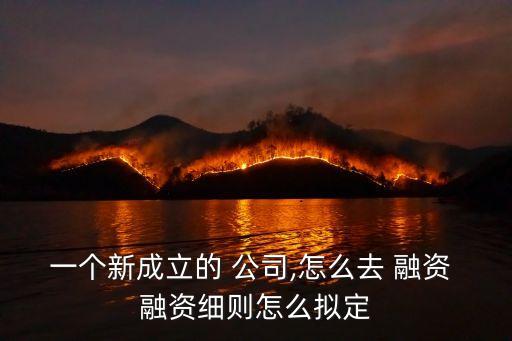一個(gè)新成立的 公司,怎么去 融資 融資細(xì)則怎么擬定