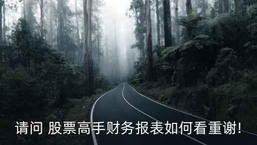 請問 股票高手財務報表如何看重謝!