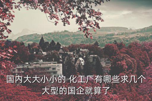 國內大大小小的 化工廠有哪些求幾個大型的國企就算了