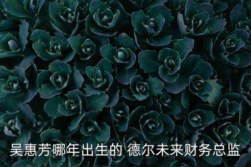 吳惠芳哪年出生的 德爾未來財務總監(jiān)