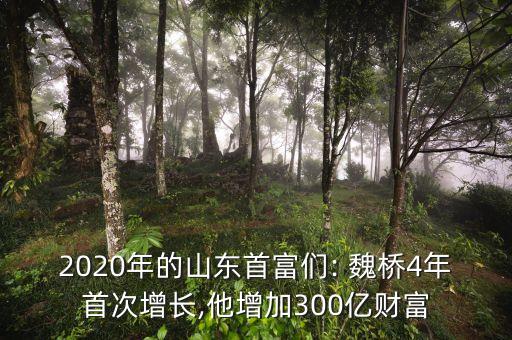 2020年的山東首富們: 魏橋4年首次增長(zhǎng),他增加300億財(cái)富