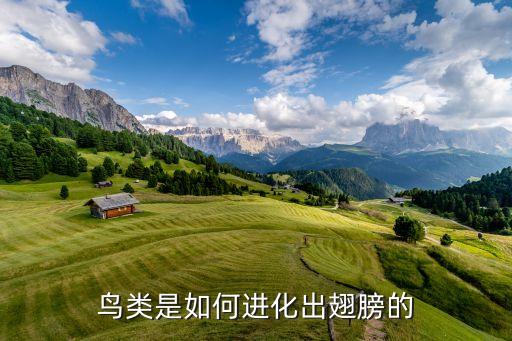 鳥類是如何進化出翅膀的