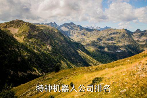 特種機器人公司排名