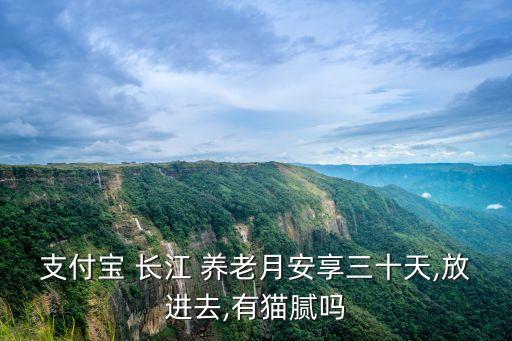 支付寶 長江 養(yǎng)老月安享三十天,放進(jìn)去,有貓膩嗎