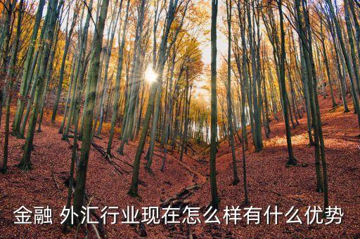 金融 外匯行業(yè)現在怎么樣有什么優(yōu)勢