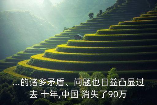 ...的諸多矛盾、問題也日益凸顯過去 十年,中國 消失了90萬