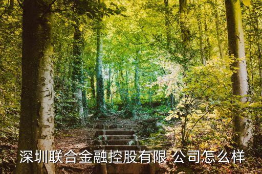  深圳聯(lián)合金融控股有限 公司怎么樣