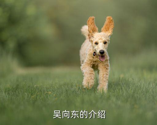  吳向東的介紹