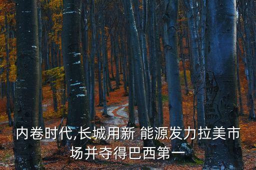 內(nèi)卷時代,長城用新 能源發(fā)力拉美市場并奪得巴西第一