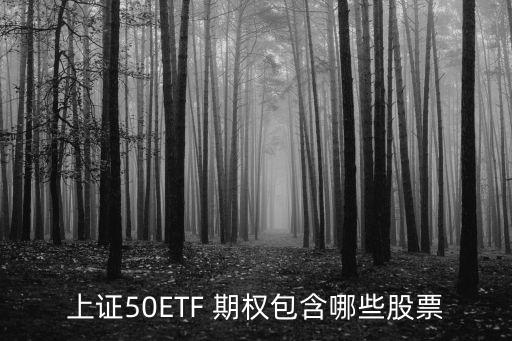 上證50ETF 期權包含哪些股票