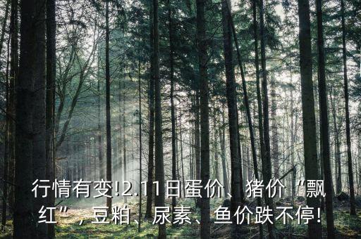 行情有變!2.11日蛋價、豬價“飄紅”, 豆粕、尿素、魚價跌不停!
