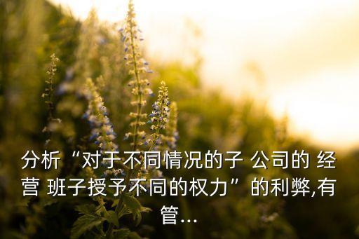分析“對于不同情況的子 公司的 經(jīng)營 班子授予不同的權力”的利弊,有管...