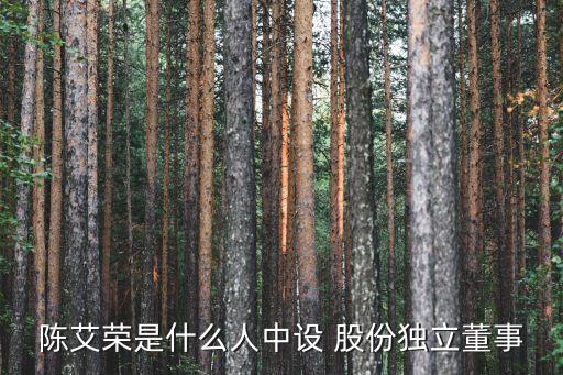 陳艾榮是什么人中設(shè) 股份獨(dú)立董事