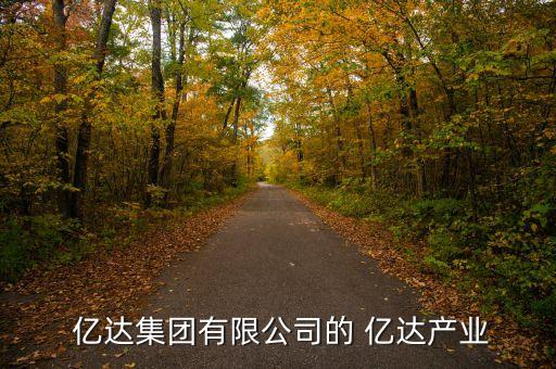 億達(dá)中國,丁衛(wèi)政億達(dá)中國