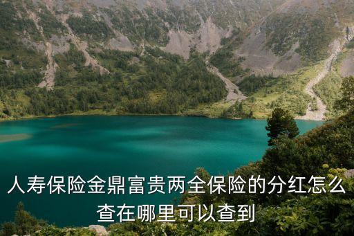 人壽保險(xiǎn)金鼎富貴兩全保險(xiǎn)的分紅怎么查在哪里可以查到