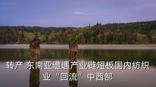 轉(zhuǎn)產(chǎn) 東南亞遭遇產(chǎn)業(yè)鏈短板國內(nèi)紡織業(yè)“回流”中西部