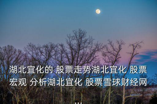 湖北宜化的 股票走勢湖北宜化 股票宏觀 分析湖北宜化 股票雪球財經(jīng)網(wǎng)...