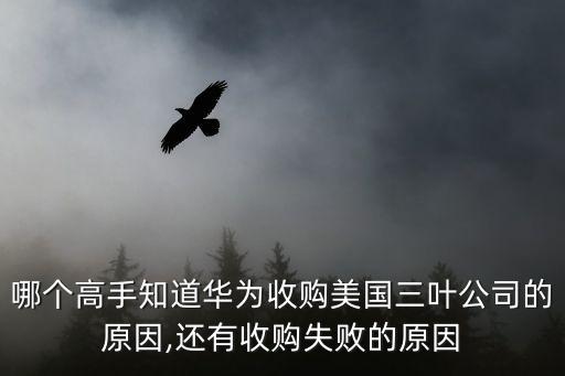 并購(gòu)美國(guó)公司,美國(guó)的并購(gòu)浪潮