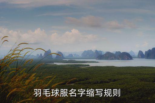 倫敦奧運(yùn)會中國羽毛球隊(duì)服,2012倫敦奧運(yùn)會羽毛球男單決賽視頻