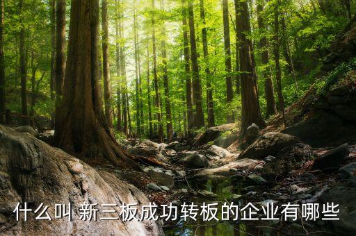 南京新三板上市公司名單,內(nèi)蒙古新三板上市公司名單