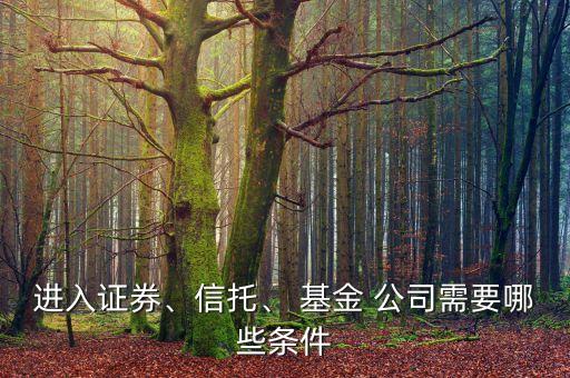 進(jìn)入證券、信托、 基金 公司需要哪些條件