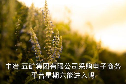 中冶 五礦集團有限公司采購電子商務(wù)平臺星期六能進入嗎