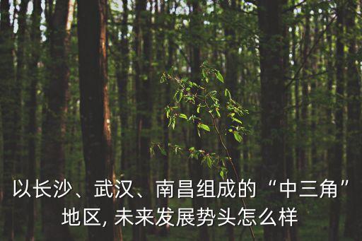 以長沙、武漢、南昌組成的“中三角”地區(qū), 未來發(fā)展勢頭怎么樣
