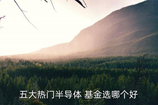 五大熱門(mén)半導(dǎo)體 基金選哪個(gè)好