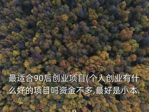 最適合90后創(chuàng)業(yè)項目(個人創(chuàng)業(yè)有什么好的項目嗎資金不多,最好是小本...