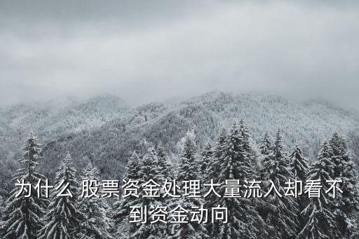 為什么 股票資金處理大量流入?yún)s看不到資金動向