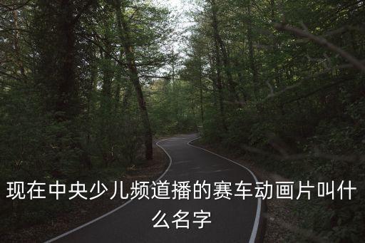 現(xiàn)在中央少兒頻道播的賽車動(dòng)畫片叫什么名字