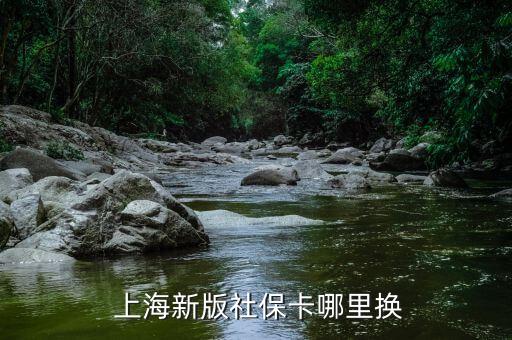  上海新版社?？睦飺Q