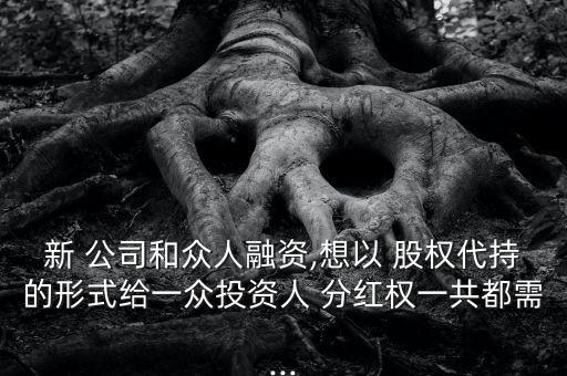 新 公司和眾人融資,想以 股權代持的形式給一眾投資人 分紅權一共都需...