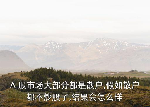 A 股市場大部分都是散戶,假如散戶都不炒股了,結果會怎么樣