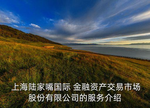  上海陸家嘴國際 金融資產交易市場股份有限公司的服務介紹