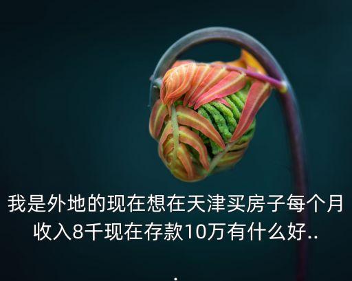 我是外地的現(xiàn)在想在天津買房子每個(gè)月收入8千現(xiàn)在存款10萬有什么好...