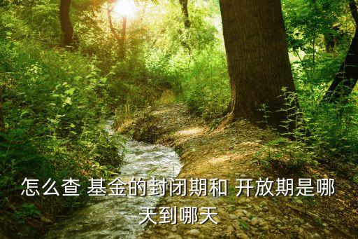 基金申購開放狀態(tài)怎么意思
