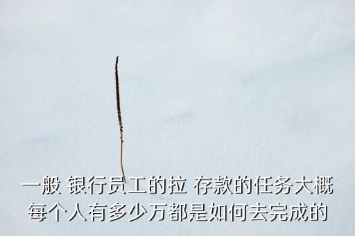 一般 銀行員工的拉 存款的任務(wù)大概每個人有多少萬都是如何去完成的