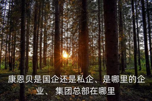康恩貝集團的保健品產業(yè)