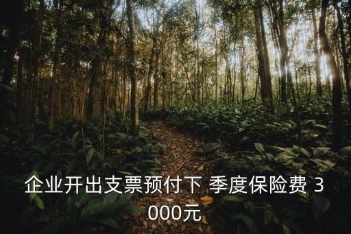 企業(yè)開出支票預(yù)付下 季度保險費 3000元
