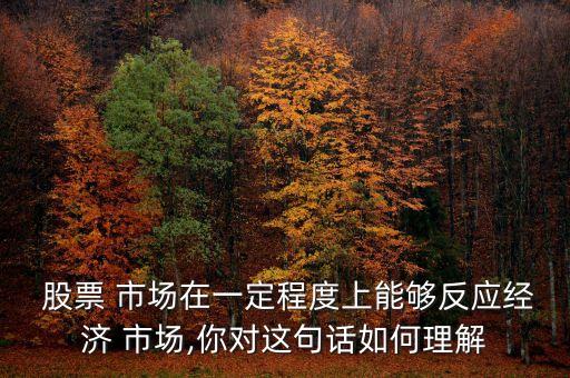  股票 市場在一定程度上能夠反應經濟 市場,你對這句話如何理解
