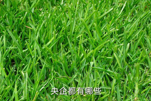  央企都有哪些