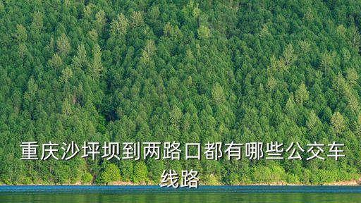  重慶沙坪壩到兩路口都有哪些公交車線路