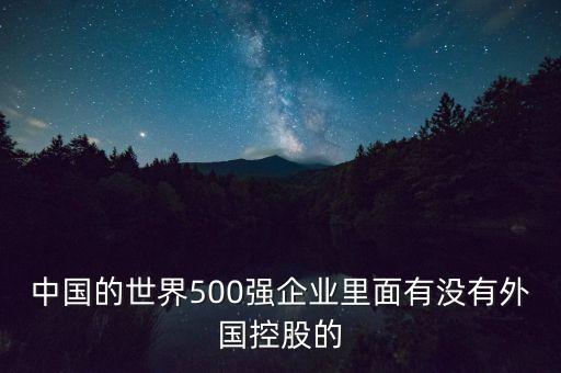 中國的世界500強企業(yè)里面有沒有外國控股的