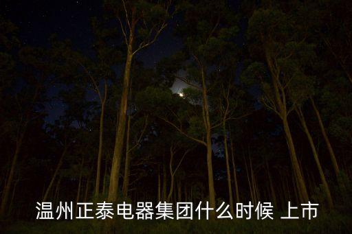  溫州正泰電器集團(tuán)什么時(shí)候 上市