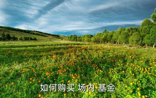 如何購(gòu)買(mǎi) 場(chǎng)內(nèi) 基金