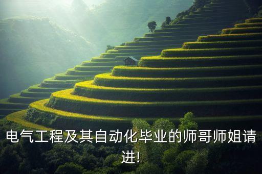 中電投東北分公司采購部